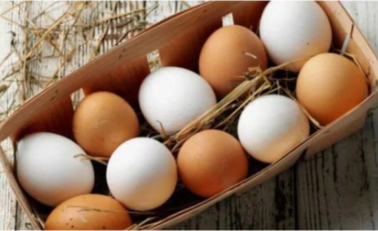 Top 5 Protein-Rich Foods That Give You More Than Eggs