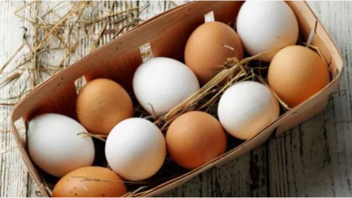 Top 5 Protein-Rich Foods That Give You More Than Eggs