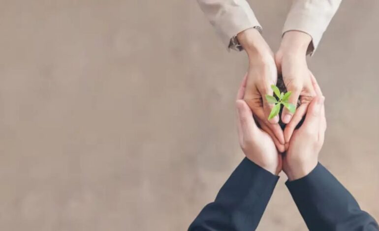 How Green Ventures Are Changing the Future of Entrepreneurship