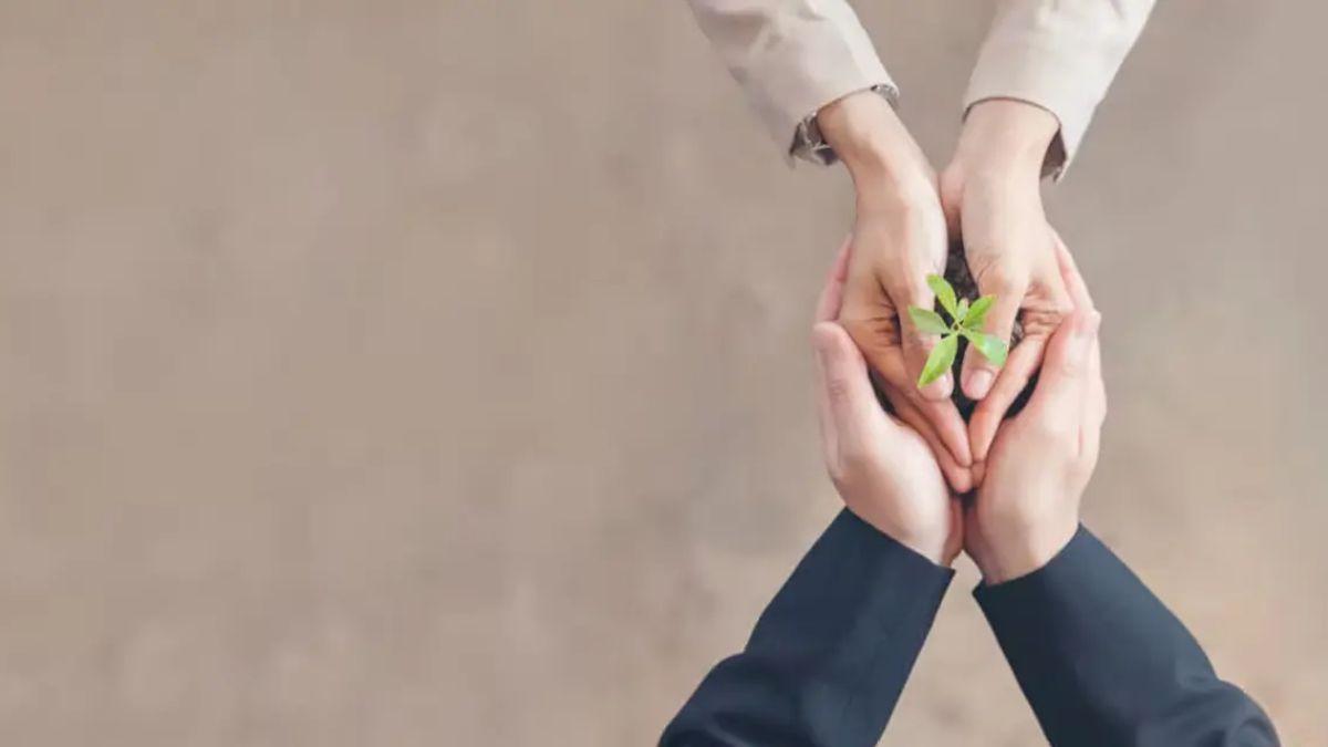 How Green Ventures Are Changing the Future of Entrepreneurship