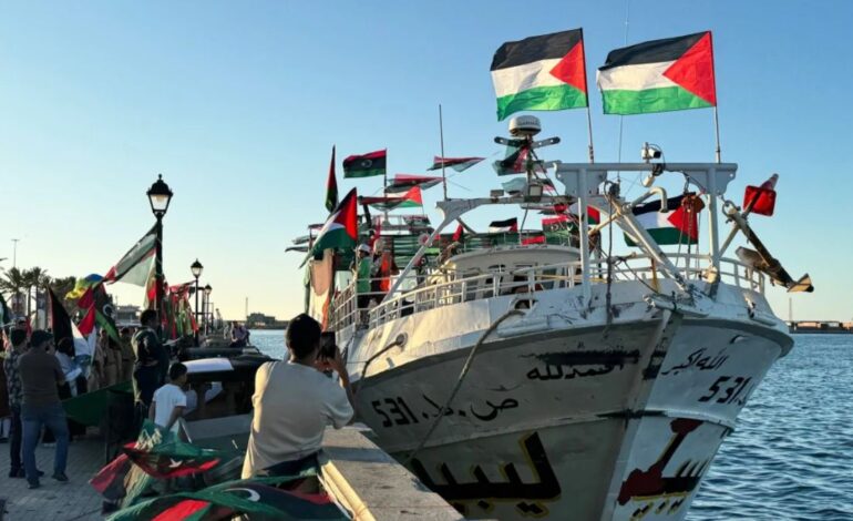 Do Gaza Aid Flotillas Represent Futile Protest or a Strategic Stand Against the Blockade?