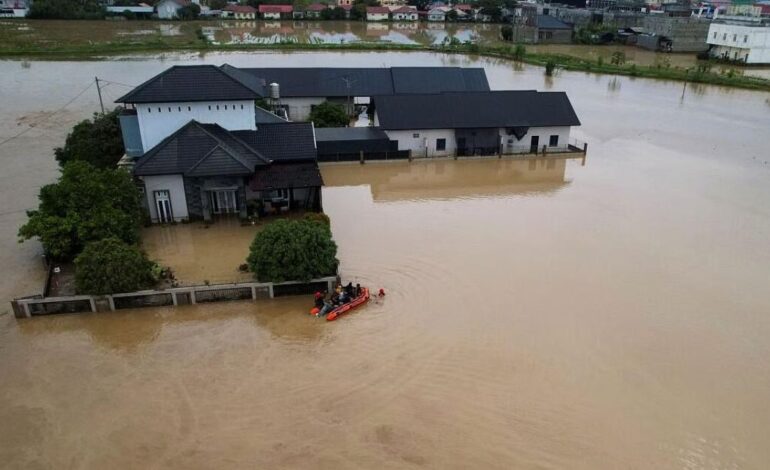 Decades of Deforestation: The Hidden Cause Behind the Sumatra Flood Disaster