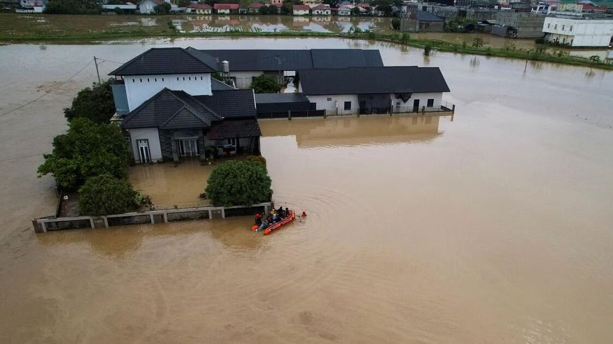 Decades of Deforestation: The Hidden Cause Behind the Sumatra Flood Disaster