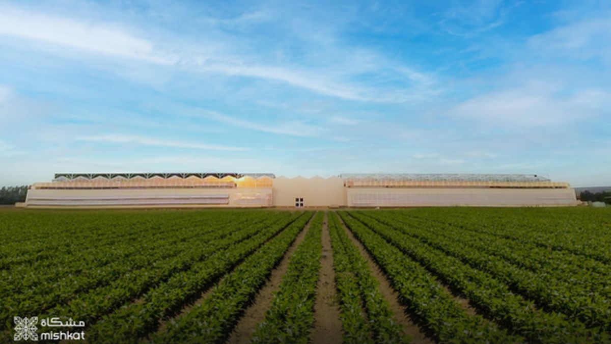 How Modern Farming is Transforming Agriculture in Saudi Arabia