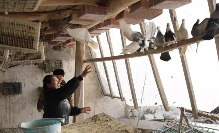 Thousands Flee Homes as Earthquake Shakes Southwest China Region