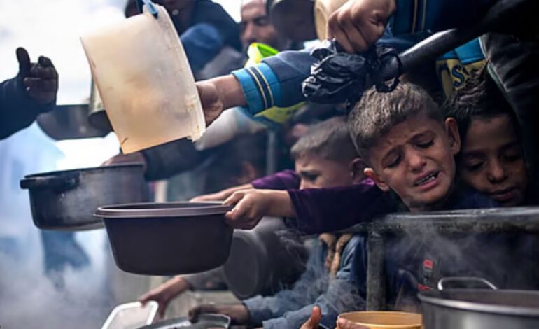 UN Report Reveals Growing Hunger Crisis Affecting Millions Across Arab and Muslim Nations