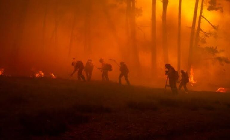 How Deadly Wildfires Are Impacting Communities Across Europe