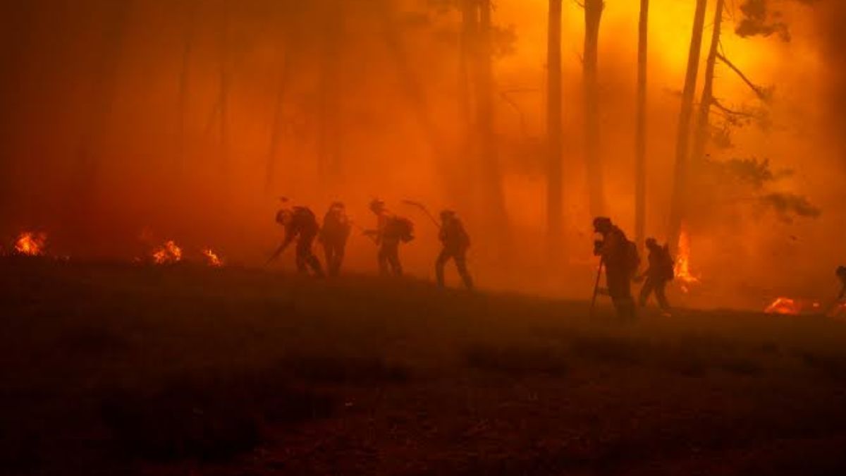 How Deadly Wildfires Are Impacting Communities Across Europe