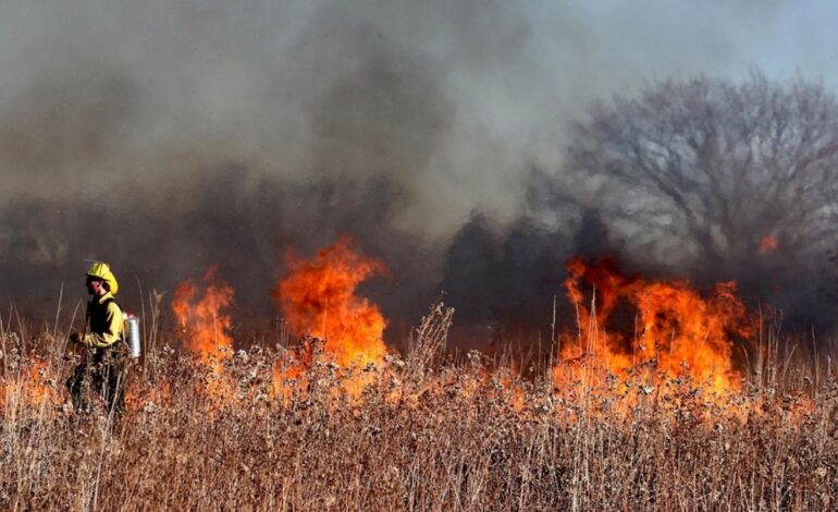 EU Warns Wildfire Response Must Keep Up with Rising Climate Threats