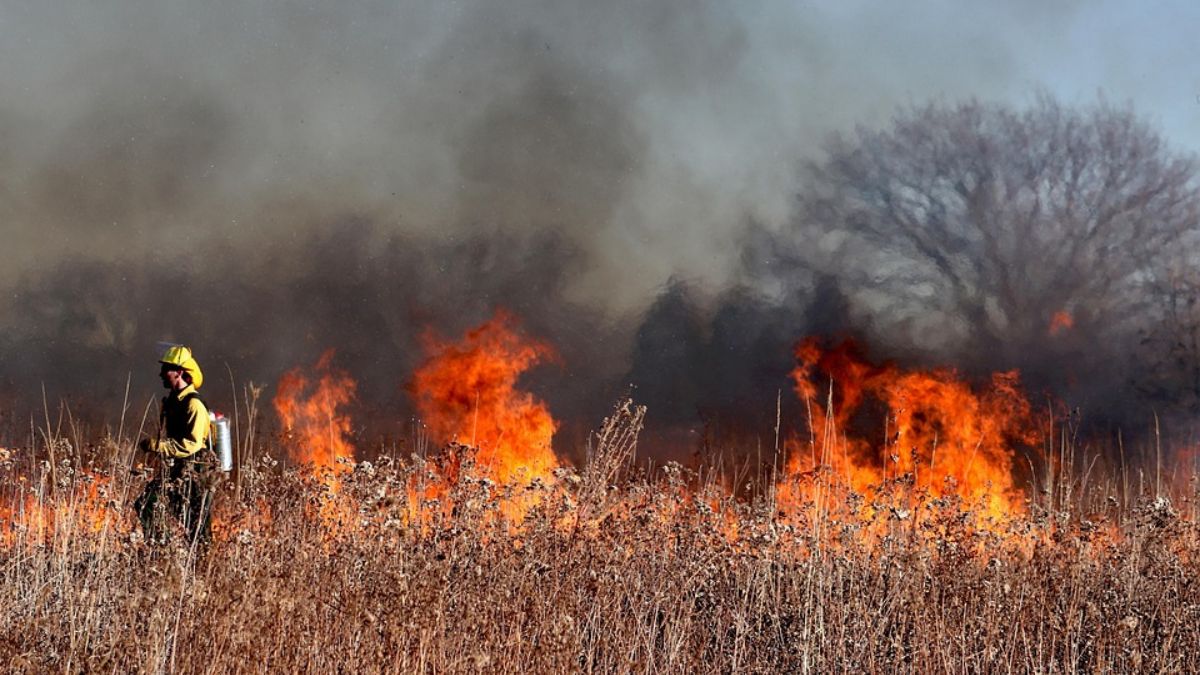 EU Warns Wildfire Response Must Keep Up with Rising Climate Threats