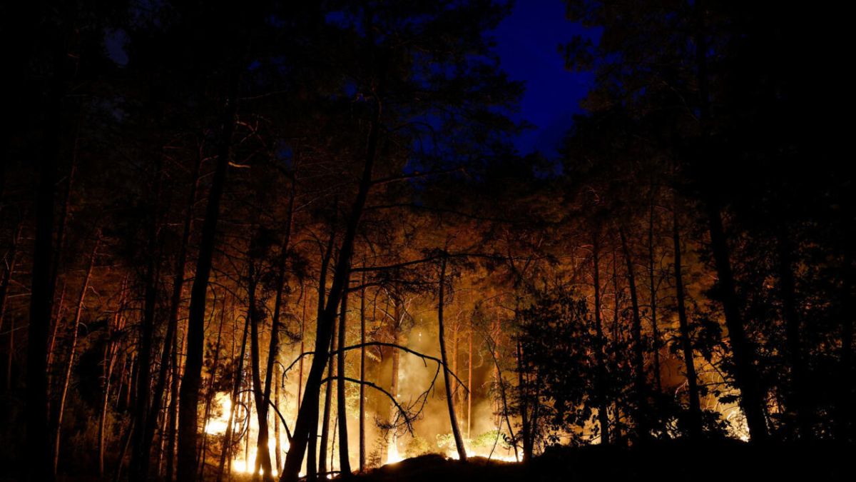 Huge Forest Fire Near Paris: Latest Updates from Fontainebleau
