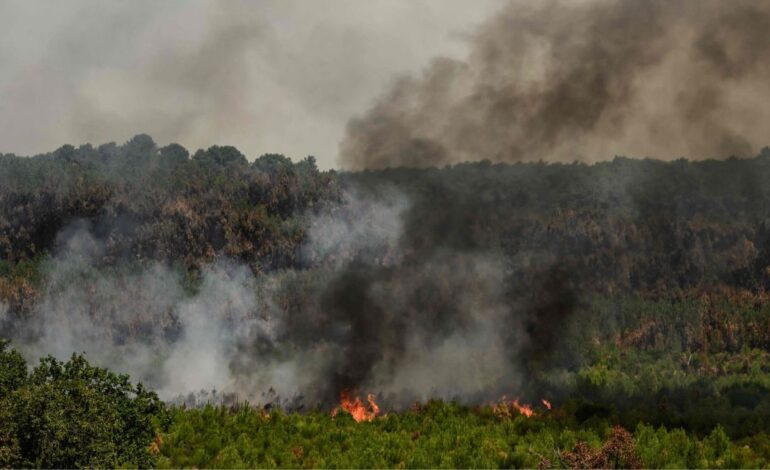 Wildfire Recovery in Spain Meets New Heatwave Threat Across France