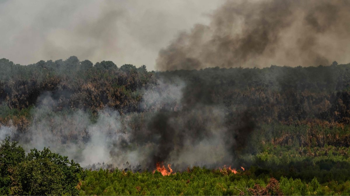 Wildfire Recovery in Spain Meets New Heatwave Threat Across France