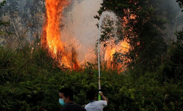 Fire Haze Crisis in Indonesia Raises Concerns Over Public Health