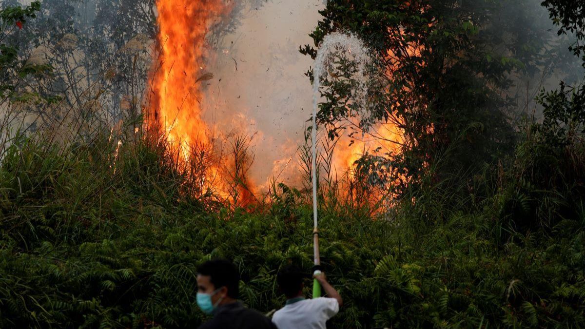 Fire Haze Crisis in Indonesia Raises Concerns Over Public Health